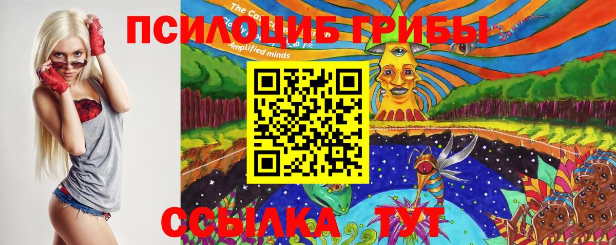 Балаково  Галлюциногенные грибы мухоморы  закладки  Вход с VPN 